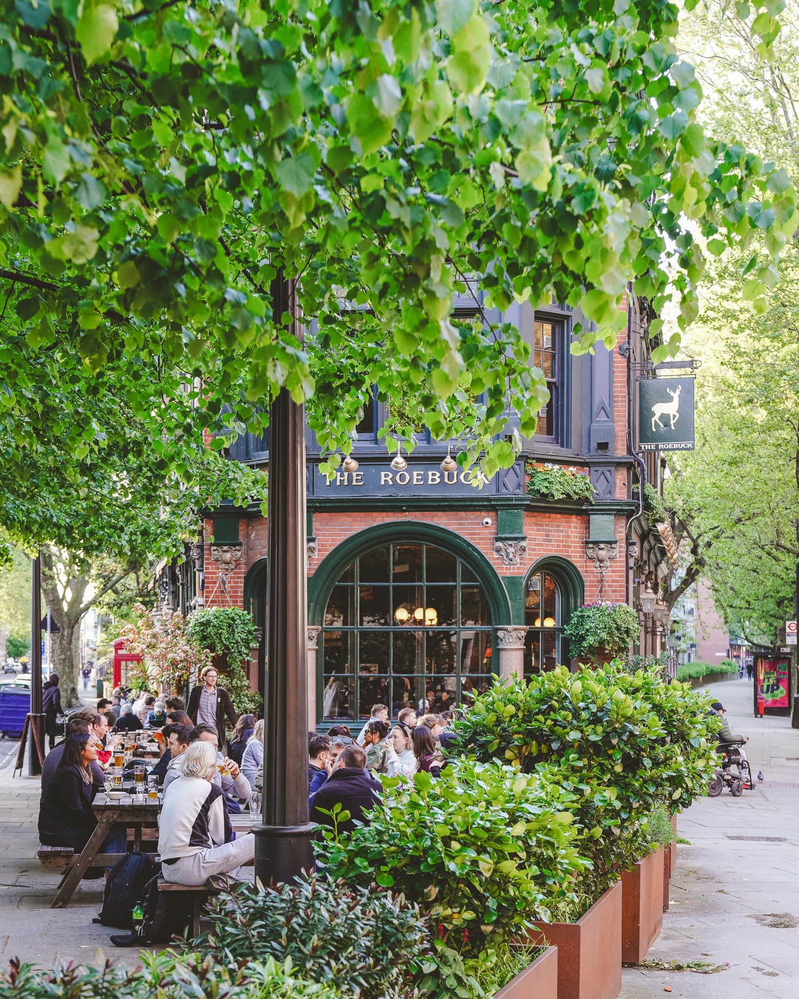 A Bermondsey pub with outdoor tables under a broad tree in leaf.