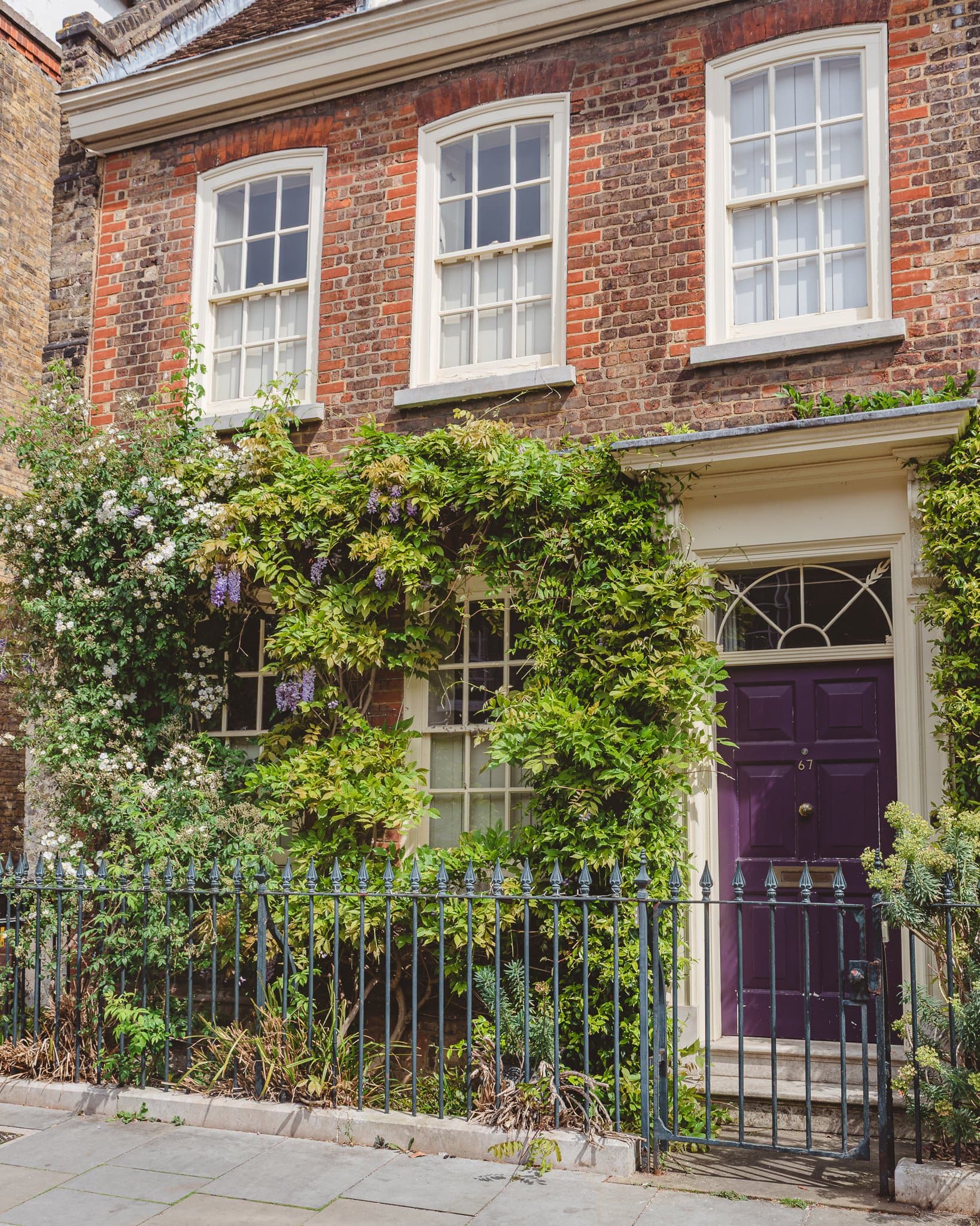 An ivy-covered townhouse with a purple front door behind iron railings.